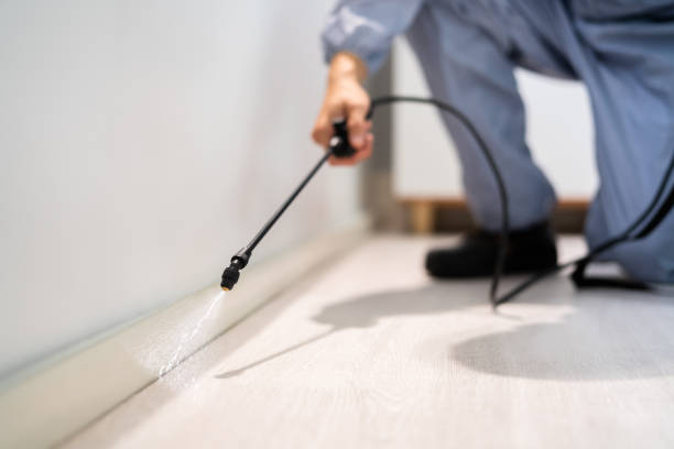 Licensed Rodent Control service in Garrett County County, MD - Nex Pest Control